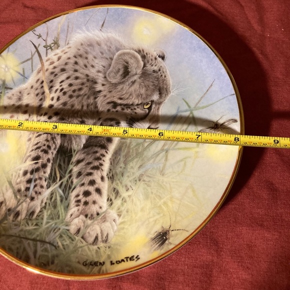 Baby Big-Cat decorative plate - Picture 2 of 4
